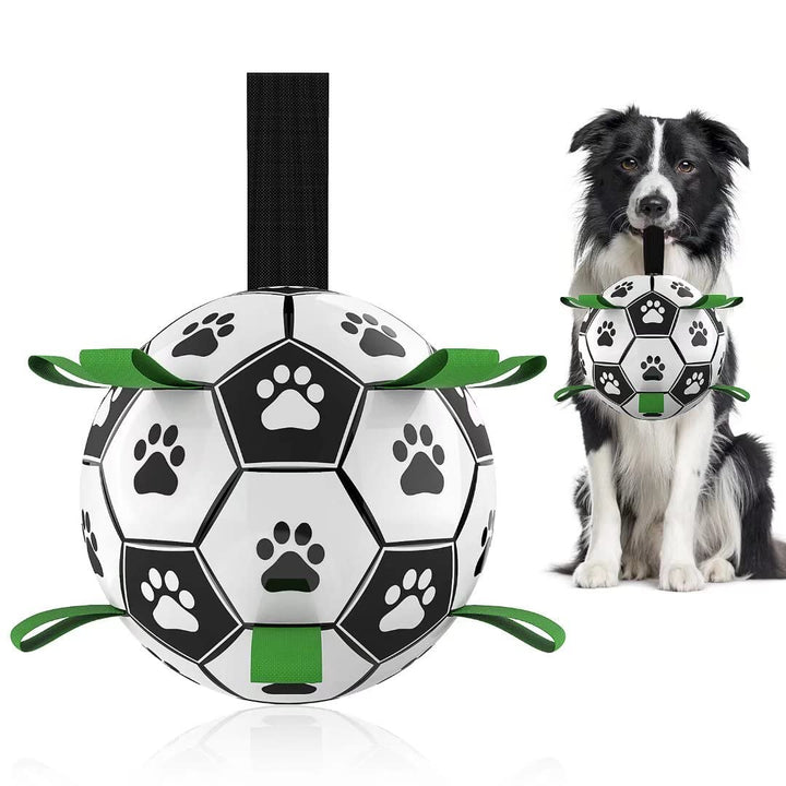 Interactive Soccer Brain Game for Dogs
